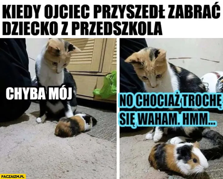 Zdjęcie Kiedy ojciec nie może odebrać dziecka z przedszkola – ważne informacje