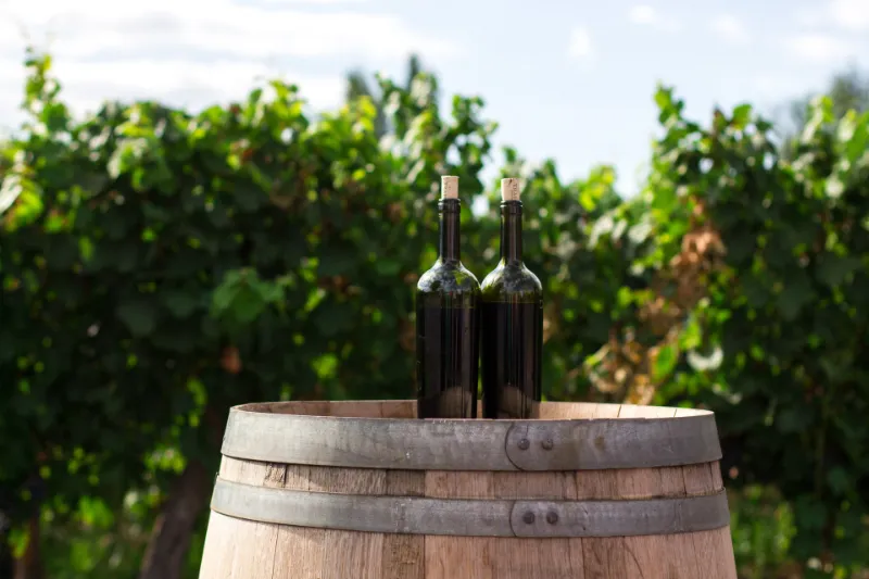 Zdjęcie Ile cukru ma wino wytrawne? Zaskakujące fakty o jego zawartości