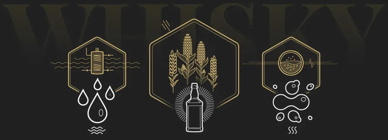 Zdjęcie Whisky z czego jest produkowana? Poznaj składniki i ich wpływ