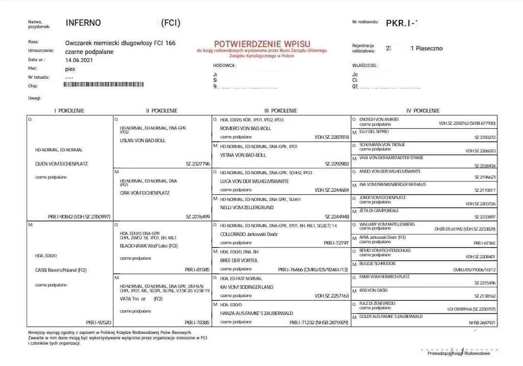 Zdjęcie Ile kosztuje rodowód dla psa? Poznaj ceny i opcje w Polsce
