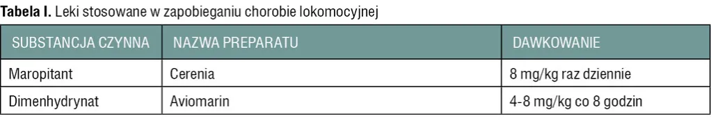Zdjęcie Aviomarin dla psa jaka dawka? Uniknij błędów przy podawaniu