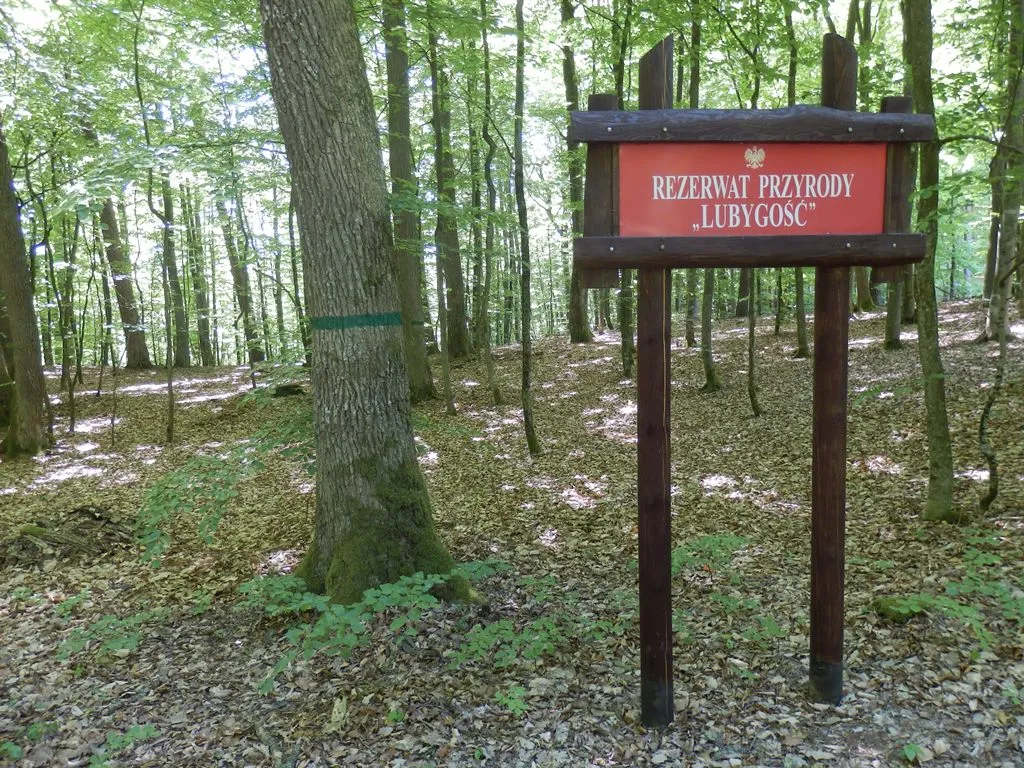 Zdjęcie Rezerwat przyrody Kurze Grzędy: unikalne miejsca i rzadkie gatunki