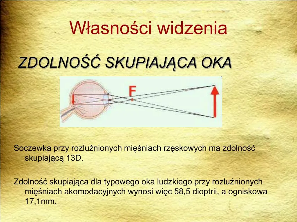 Zdjęcie Ostrość wzroku 0,9 – ile to dioptrii i jak interpretować wyniki badania wzroku