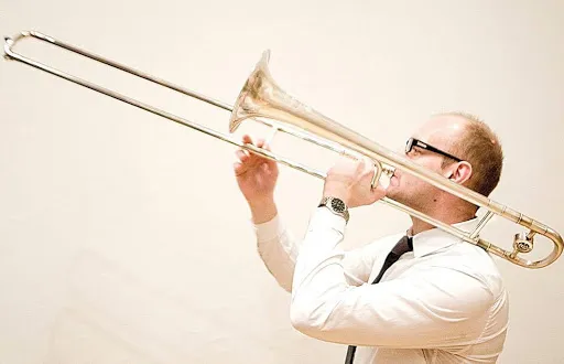 Zdjęcie Jak wygląda puzon? Odkryj jego niezwykły design i cechy