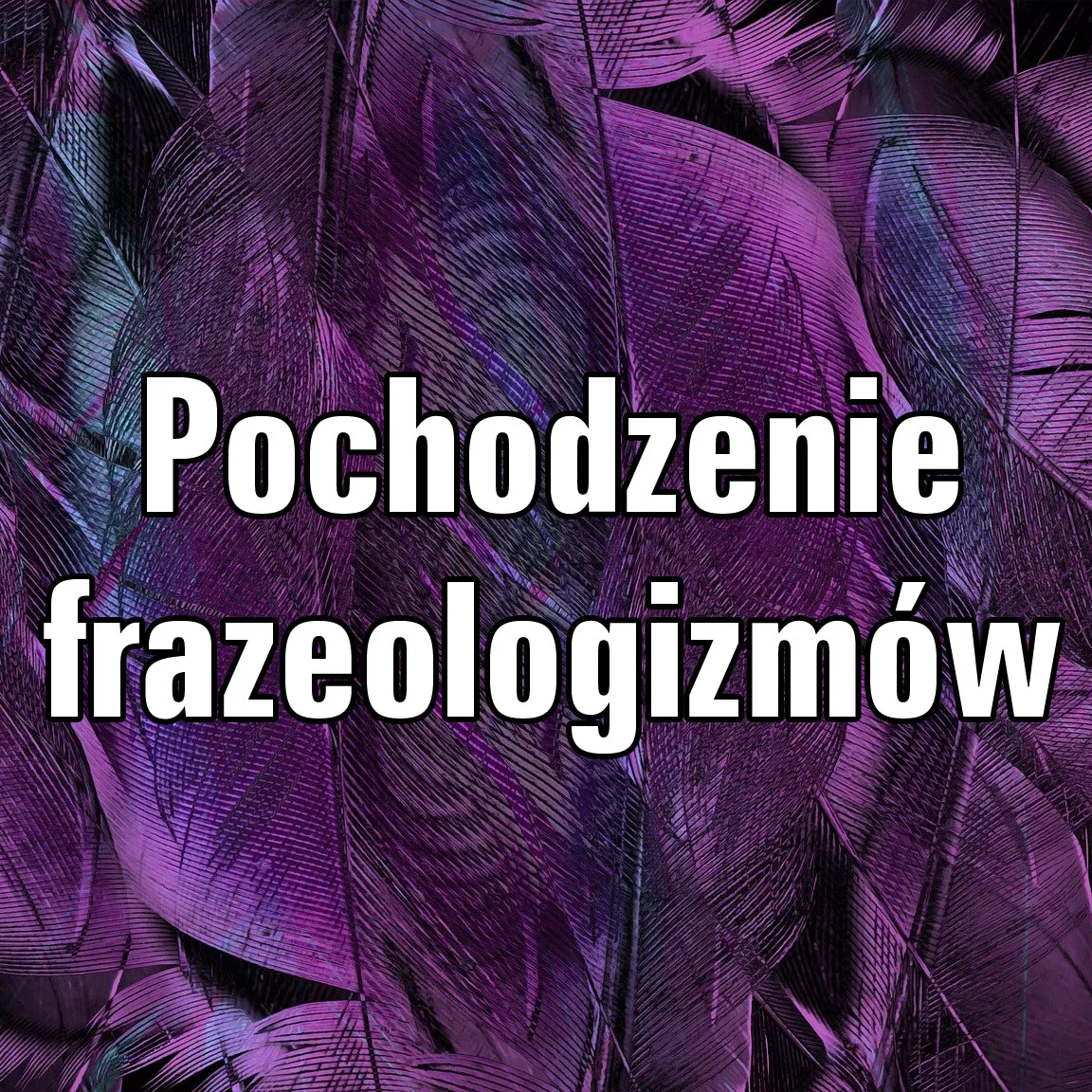 Zdjęcie Wyjaśnij znaczenie frazeologizmów pochodzenia literackiego i ich wpływ