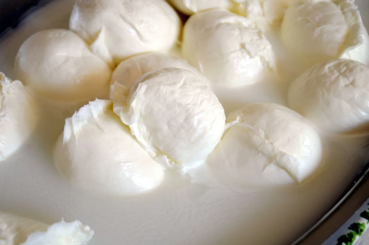 Zdjęcie Czy mozzarella jest dietetyczna? Odkryj jej wpływ na sylwetkę