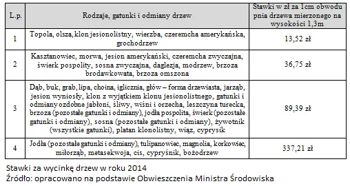 Zdjęcie Jak wyliczyć odszkodowanie za wycinkę drzew i uniknąć strat