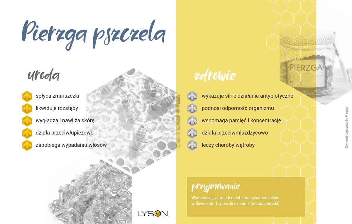 Zdjęcie Co lepsze: pierzga czy propolis? Odkryj ich zdrowotne korzyści