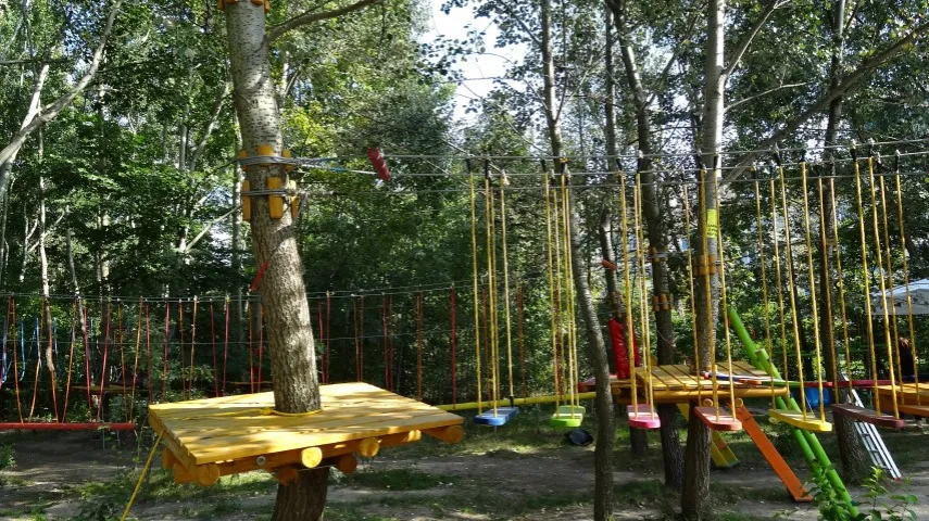 Zdjęcie Park linowy Tarzanek - atrakcje, trasy i godziny otwarcia dla rodzin
