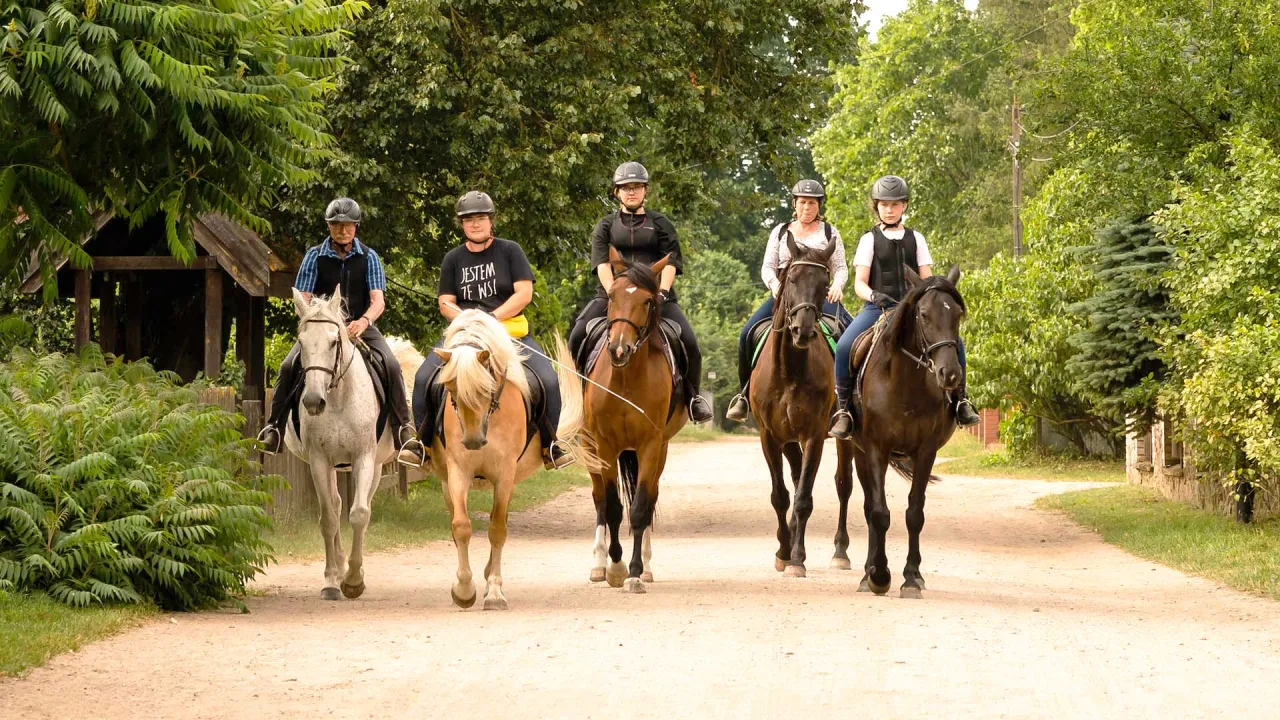 Zdjęcie Stadnina koni w Markach - najlepsze miejsca na jazdę konną i opiekę