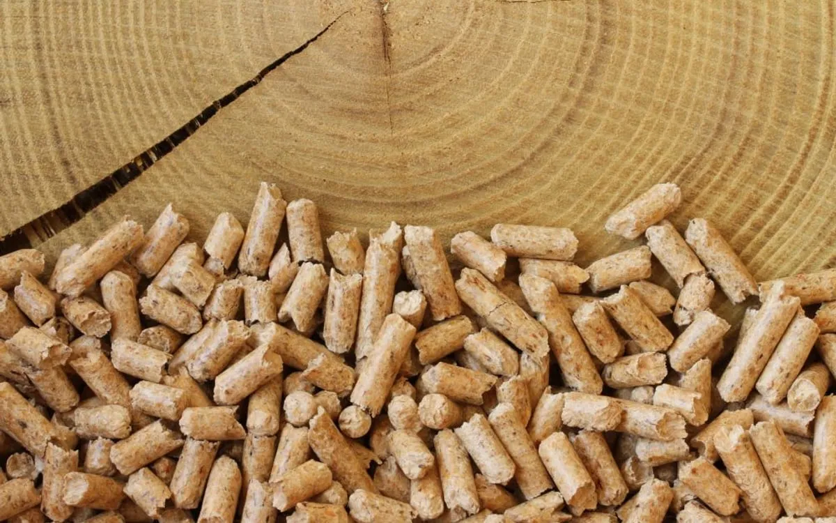 Zdjęcie Czy pellet to biomasa? Poznaj zalety i właściwości ekologiczne