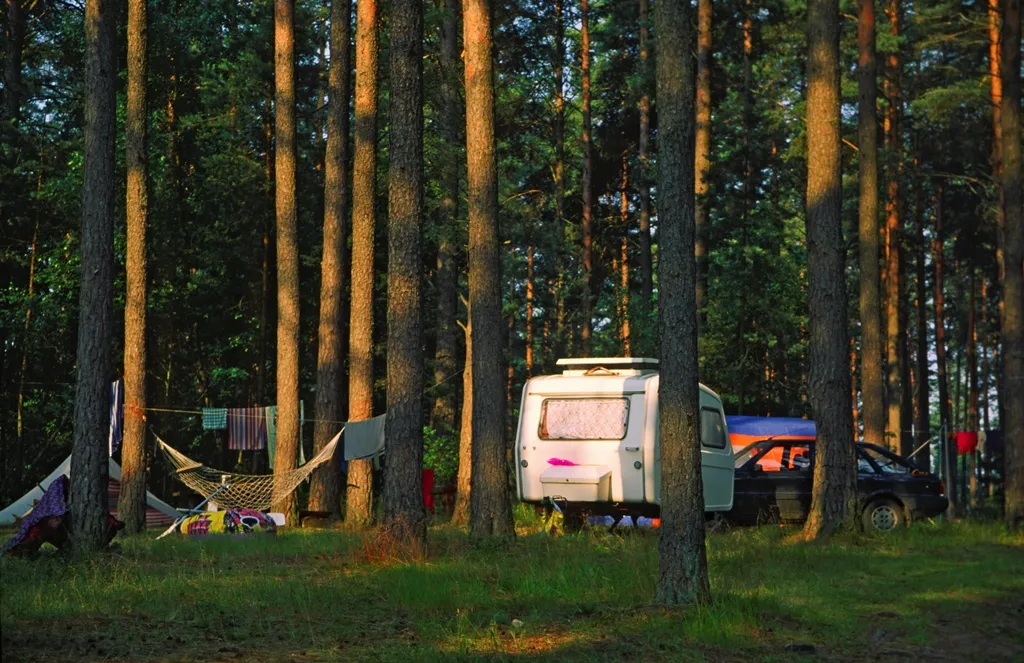 Zdjęcie Gdzie pod namiot łódzkie - najlepsze miejsca na biwak w naturze