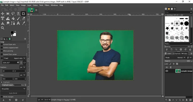 Zdjęcie GIMP czy Photoshop – który program naprawdę warto wybrać?