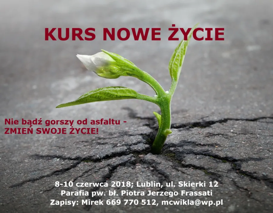 Zdjęcie Kurs Nowe Życie - opinie uczestników o duchowej przemianie