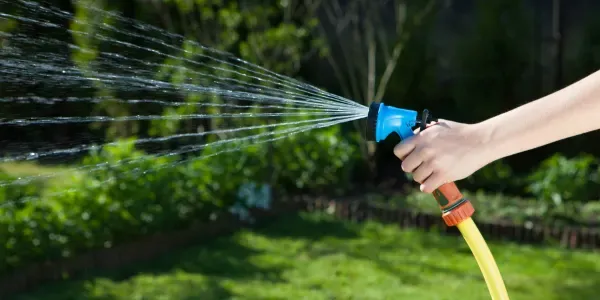 Zdjęcie Zraszacz wahadłowy: Jaki wybrać? Poradnik i ranking modeli