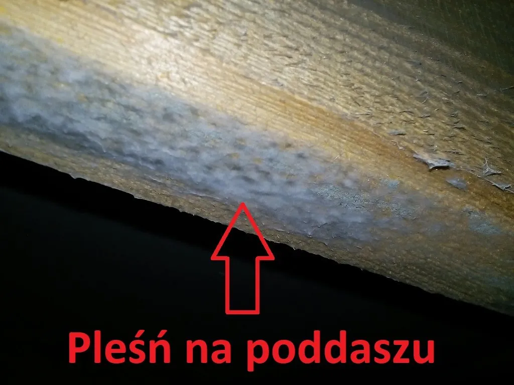 Zdjęcie Ile czasu ma deweloper na usunięcie usterki? Poznaj swoje prawa