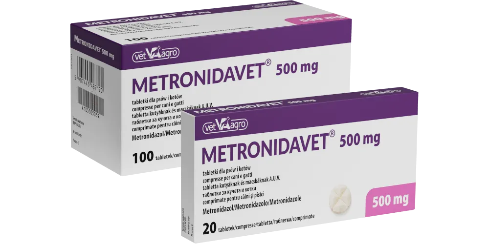 Zdjęcie Na co jest lek metronidazol i jakie infekcje może leczyć?