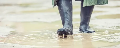 Zdjęcie Skuteczne sposoby na to, co zrobić żeby woda nie stała na działce