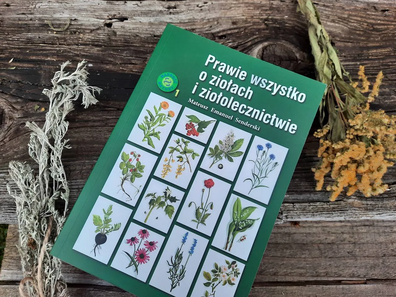 Zdjęcie Najlepsza książka o ziołach, która zmieni twoje podejście do ziołolecznictwa