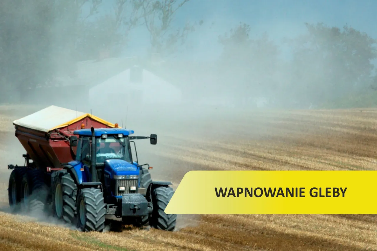 Zdjęcie Jak wapnować glebę skutecznie i uniknąć najczęstszych błędów
