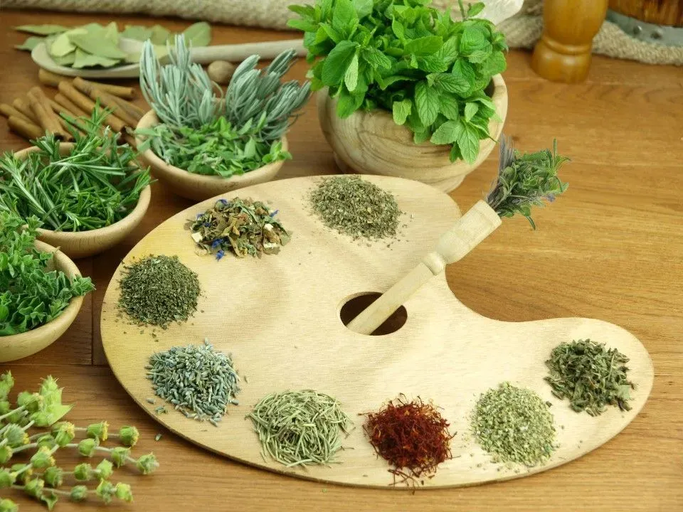 Zdjęcie Najlepsze jakie przyprawy do grzybów: lista aromatycznych dodatków do potraw