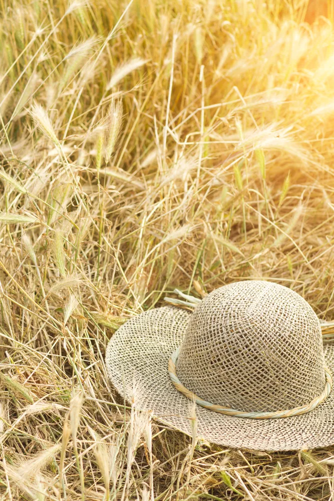 Zdjęcie W co się ubrać na dożynki, aby czuć się komfortowo i stylowo