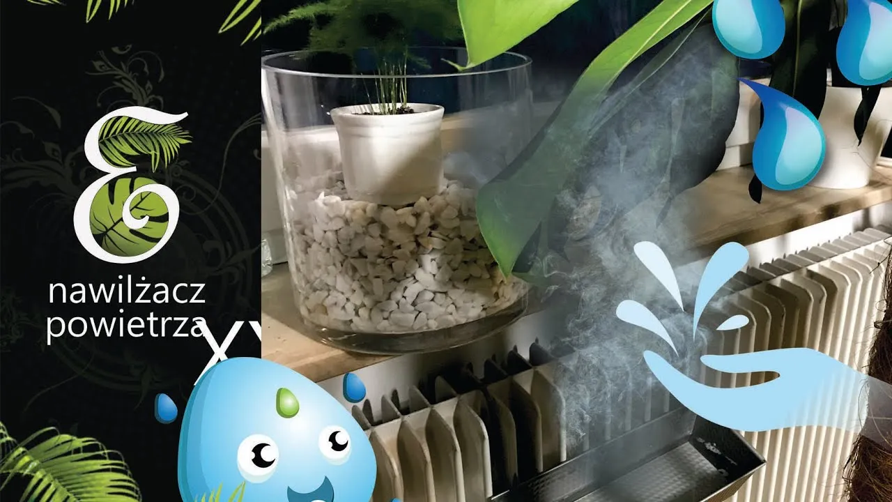 Zdjęcie Prosty nawilżacz powietrza z butelki. Tani sposób na zdrowy mikroklimat w domu