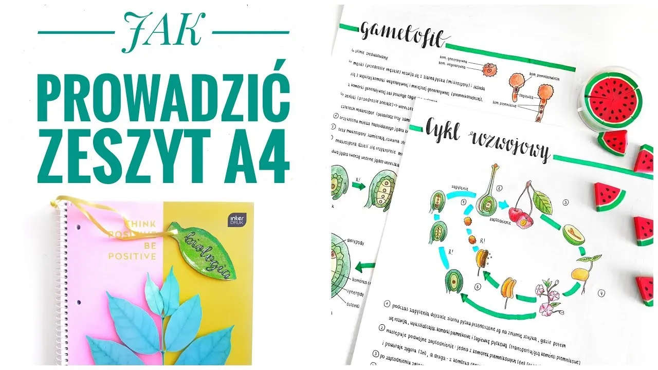 Zdjęcie Jaki zeszyt do EDB? Wybierz idealny zeszyt dla lepszych wyników