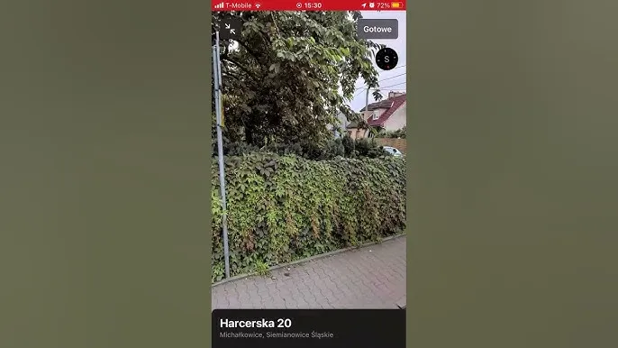 Zdjęcie Gdzie mieszka Palion? Tajemnice życia i relacji w Siemianowicach