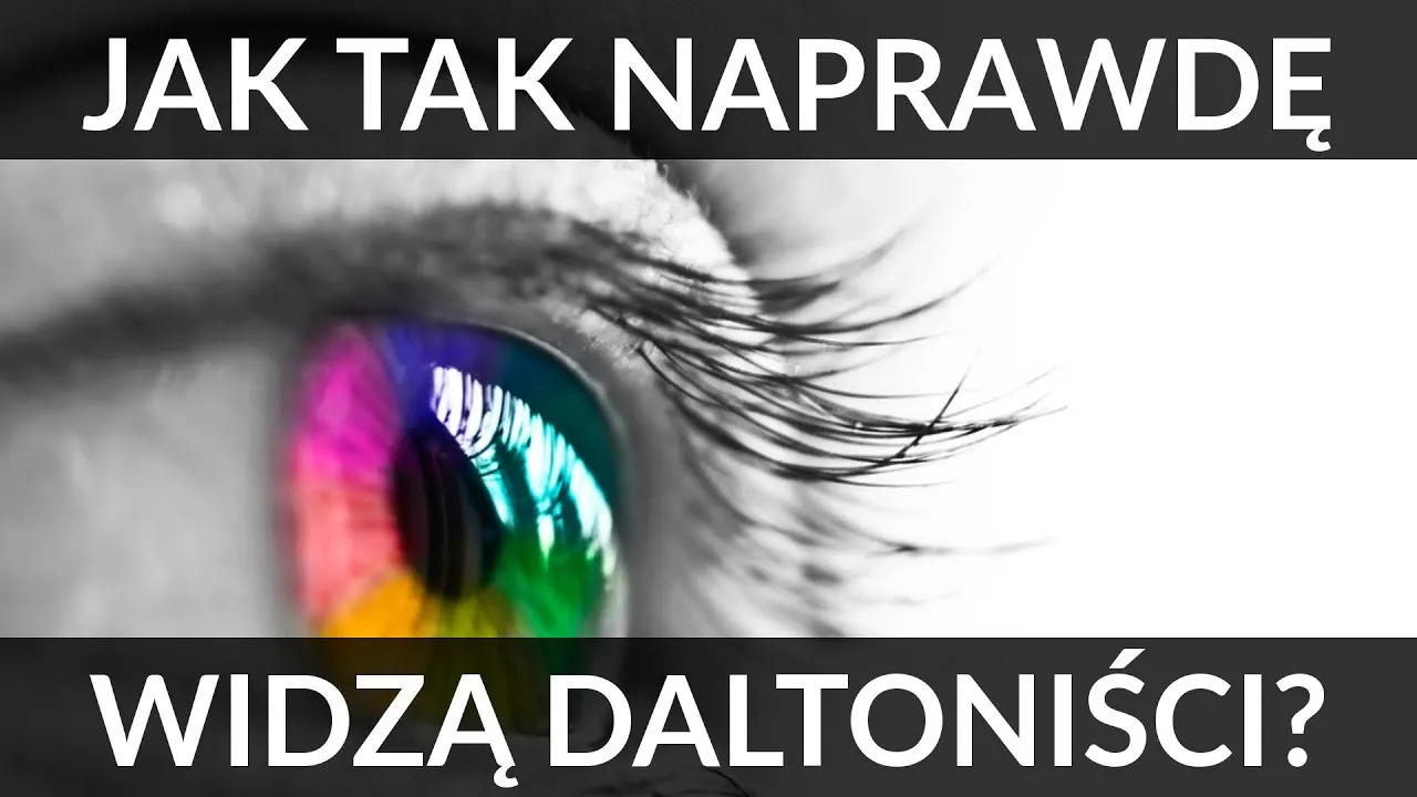 Zdjęcie Dlaczego konie mają zasłonięte oczy? Powody, korzyści i zastosowanie klapek
