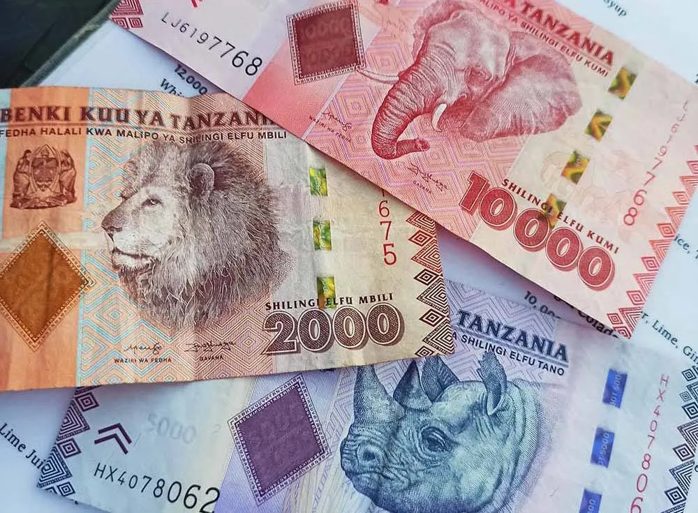 Zdjęcie Jaka waluta w Zanzibarze: praktyczny poradnik dla turystów 2025