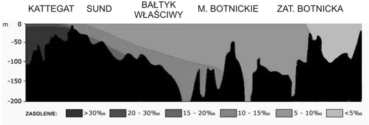 Zdjęcie Jakie jest zasolenie Bałtyku? Zaskakujące różnice i ich przyczyny