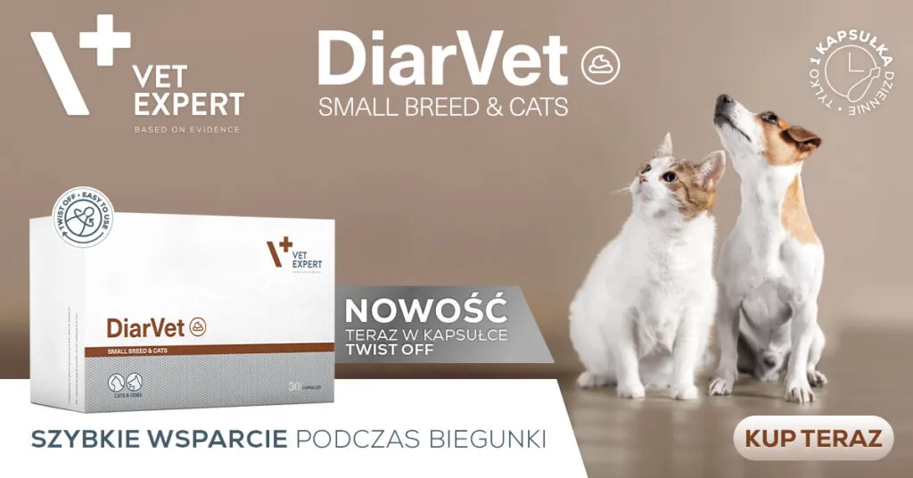 Zdjęcie Co dać szczeniakowi na biegunkę, by szybko poczuł się lepiej?