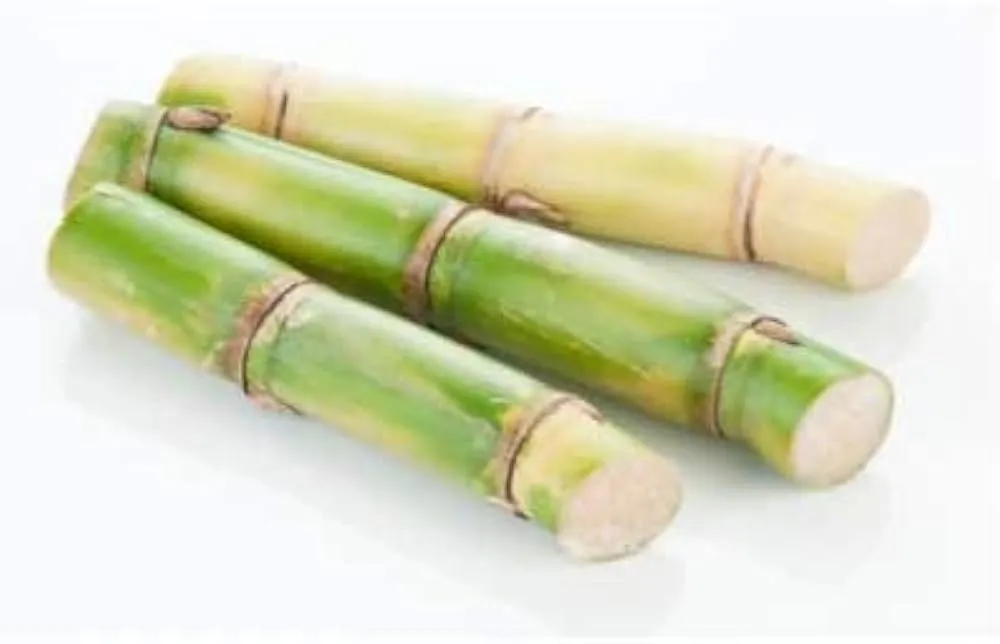 Zdjęcie Gdzie kupić sok z trzciny cukrowej? Sprawdź najlepsze oferty w Polsce