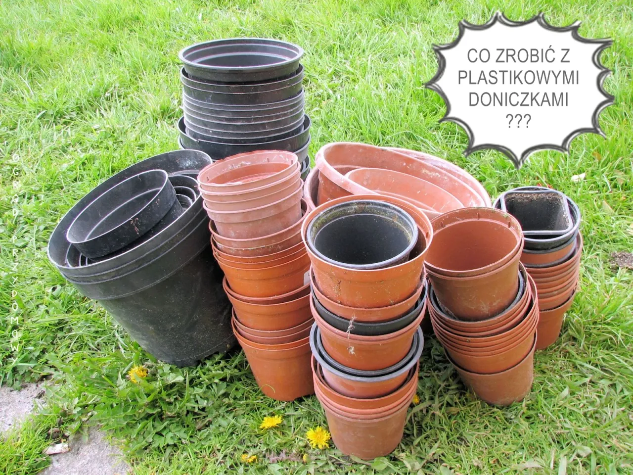 Zdjęcie Jak skutecznie pomalować plastikowe doniczki ogrodowe, aby trwały dłużej?