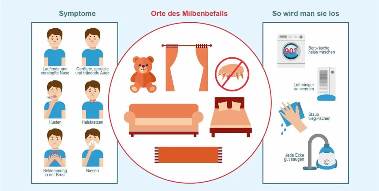 Zdjęcie Hausstaubmilben Allergie Symptome: So erkennen Sie die Anzeichen