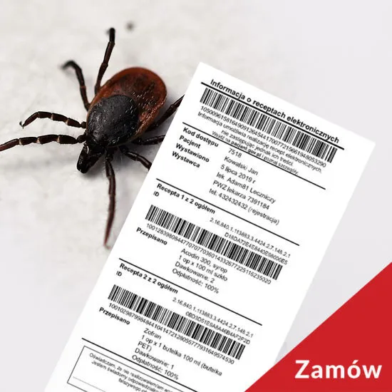 Zdjęcie Jaki antybiotyk po ugryzieniu kleszcza? Sprawdź, co musisz wiedzieć