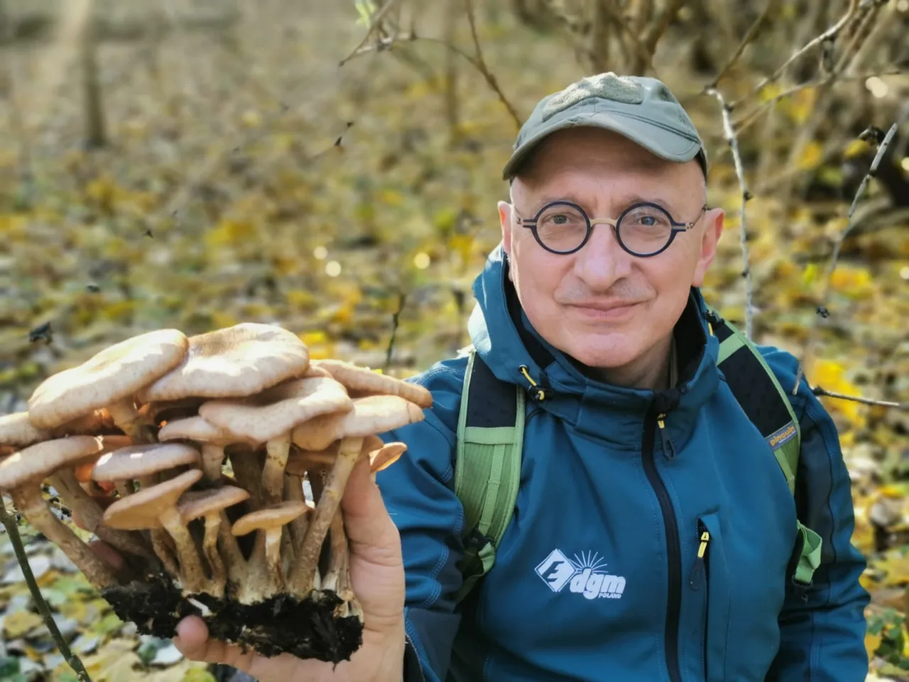 Zdjęcie Dlaczego w lesie nie ma grzybów? Odkryj zaskakujące przyczyny