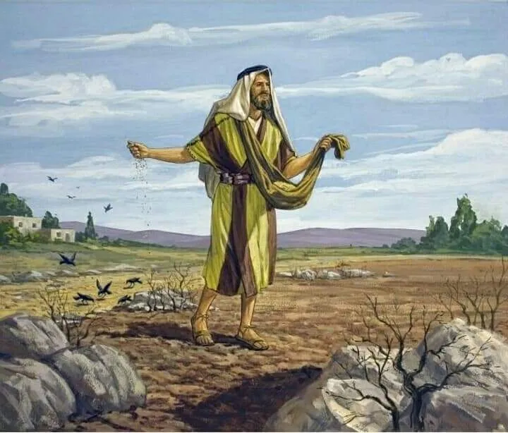 Zdjęcie Przypowieść o siewcy: Znaczenie, symbolika i przesłanie