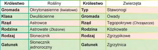 Zdjęcie Co to jest systematyka w biologii i dlaczego jest kluczowa dla nauki o życiu