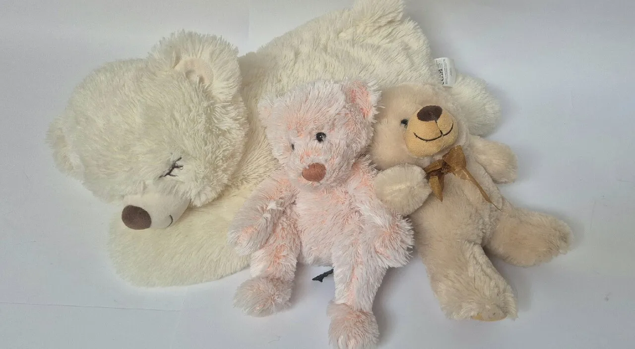 Zdjęcie Gdzie kupić pluszowego misia? Sprawdź najlepsze oferty i sklepy