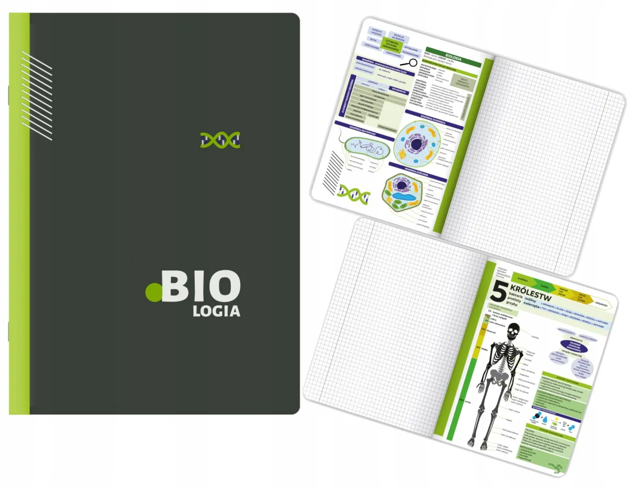 Zdjęcie Najlepsze zeszyty do biologii w 5 klasie - wybierz mądrze i skutecznie
