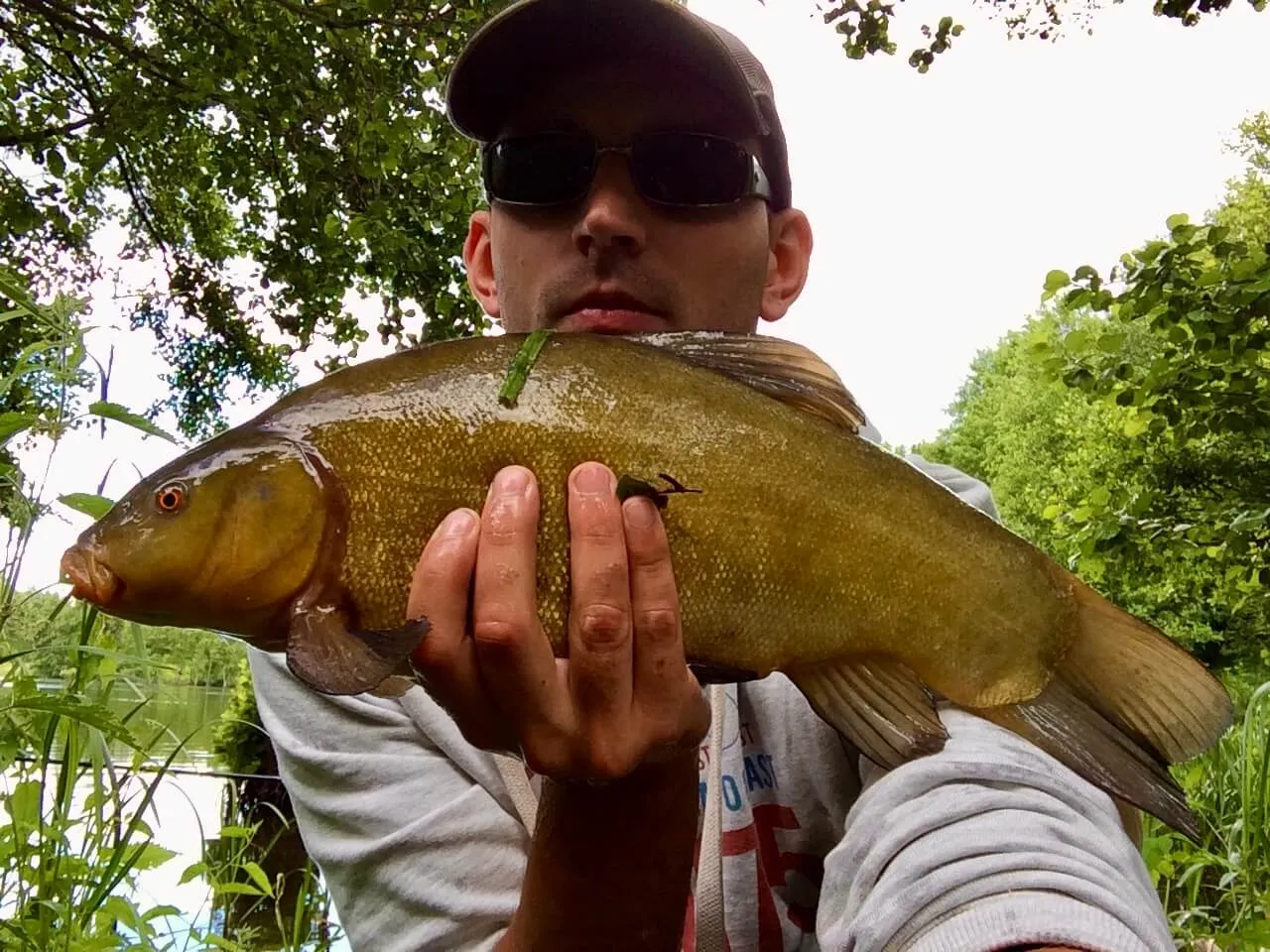 Zdjęcie Skuteczne przynęty na lina: Jak złowić tę ostrożną rybę?