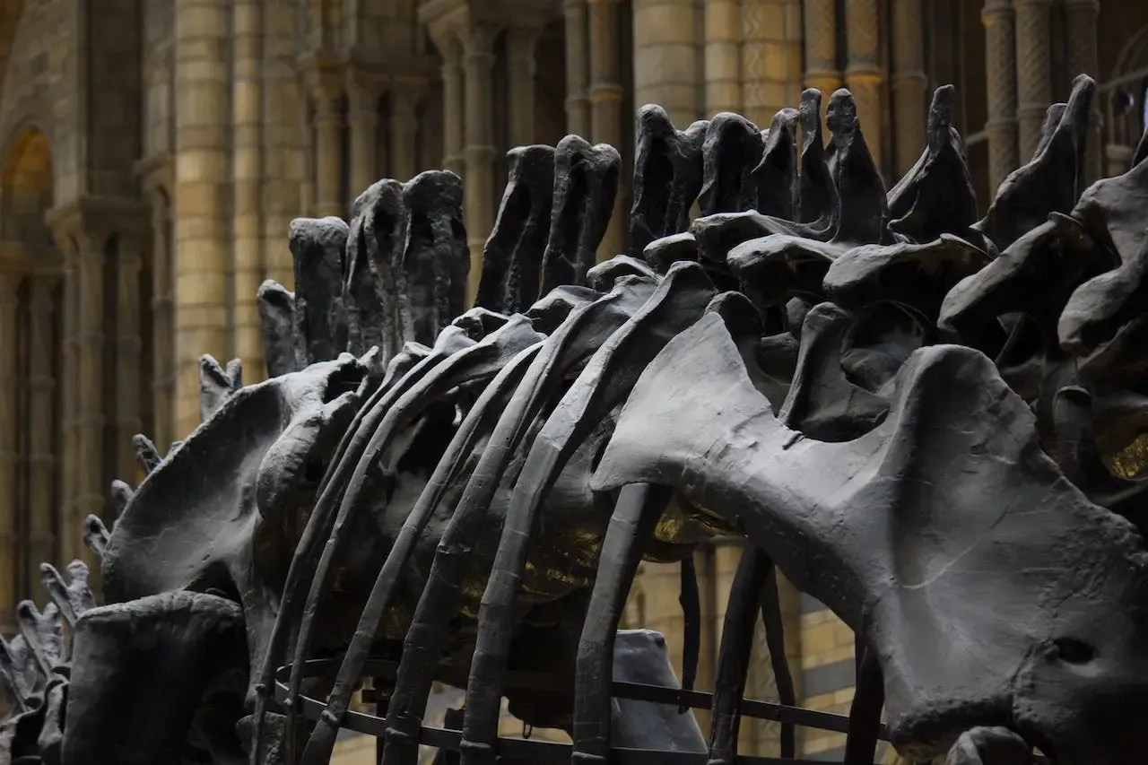 Zdjęcie Jakie dinozaury żyły na terenie Polski? Fascynujące odkrycia i gatunki