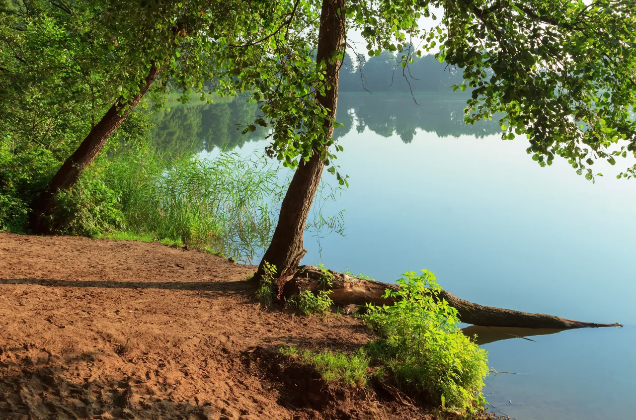 Zdjęcie Jezioro w Boszkowie: Odkryj piękno i atrakcje wodne tego miejsca