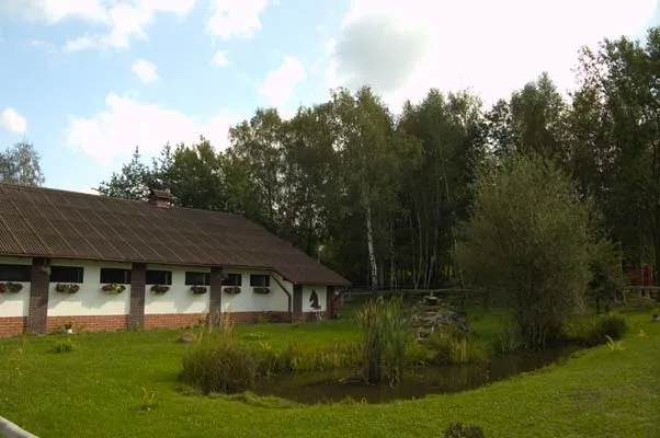 Zdjęcie Najlepsze stadniny koni w Zabrzu - jazda konna i pensjonat dla koni