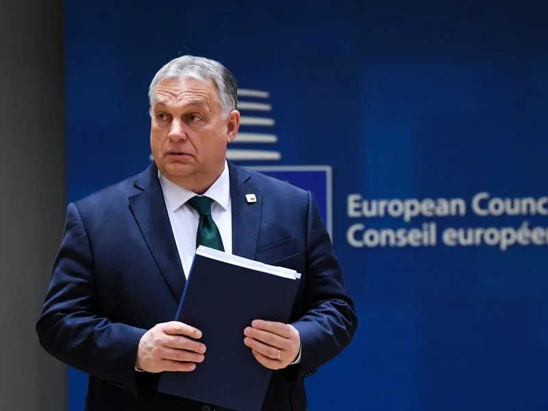 Zdjęcie Do jakiej frakcji należy konfederacja w parlamencie europejskim? Odpowiedź, która zaskoczy