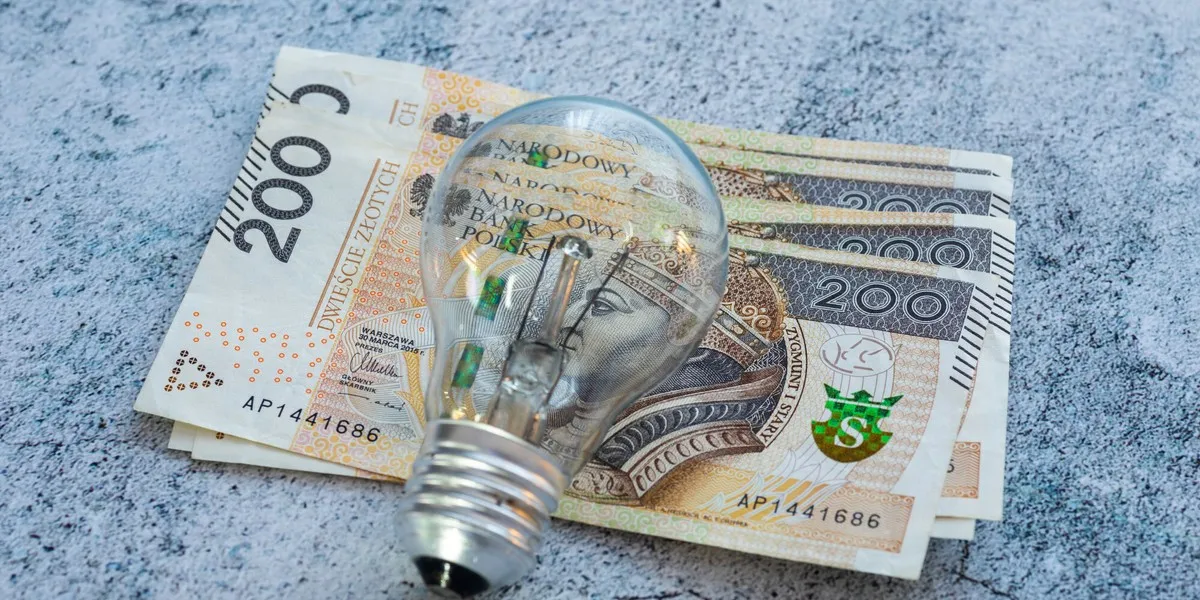 Zdjęcie Jak domowy bank energii może obniżyć Twoje rachunki za prąd