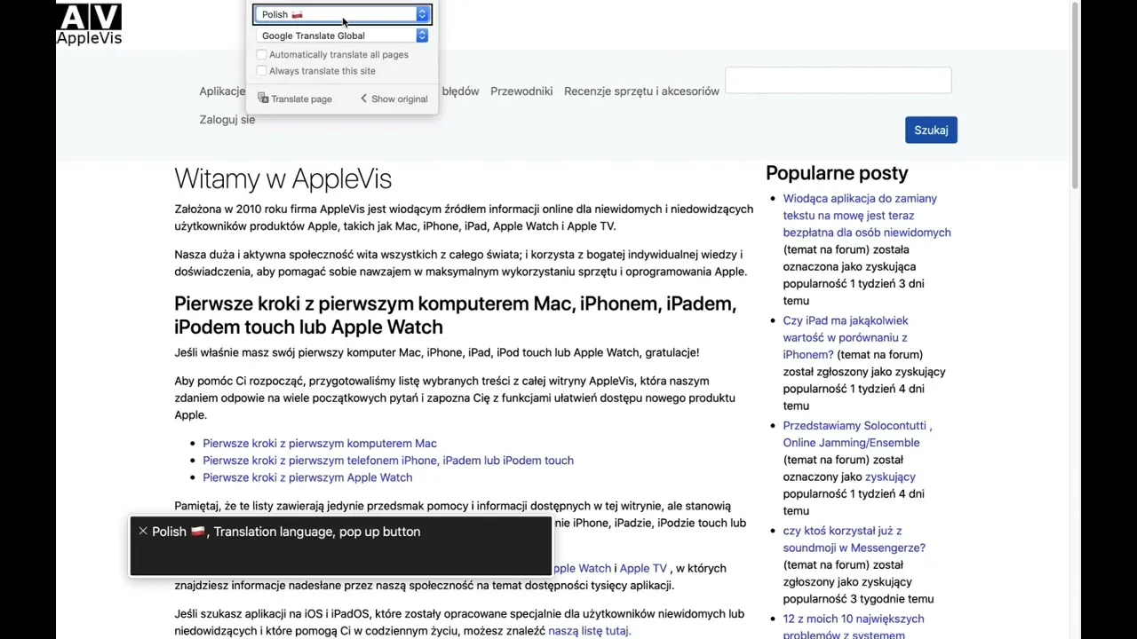 Zdjęcie Jak włączyć tłumaczenie strony w iPhone Safari i uniknąć problemów