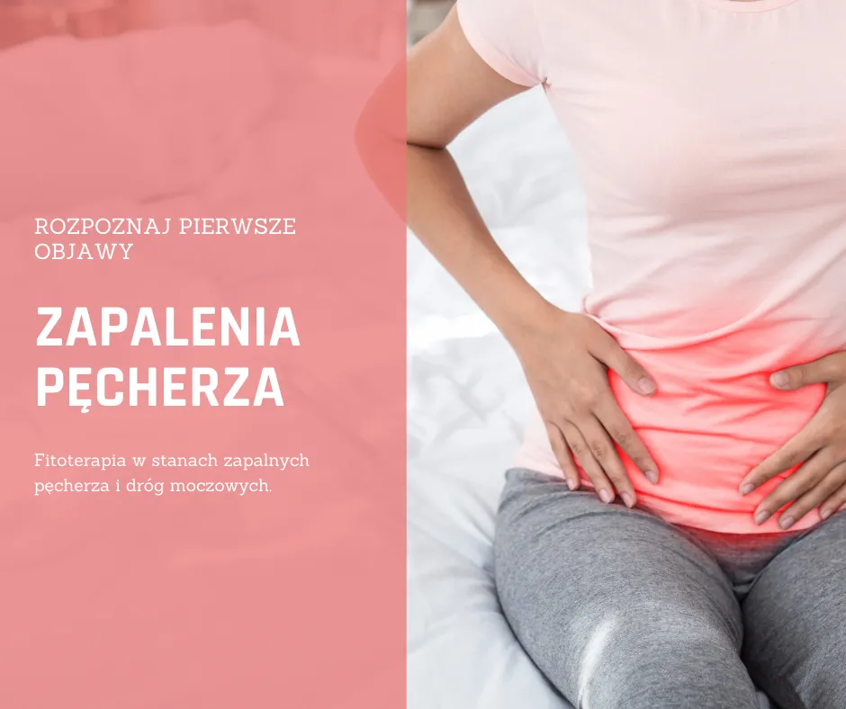 Zdjęcie Zapalenie pęcherza: do ginekologa czy internisty? Kto pomoże szybciej?